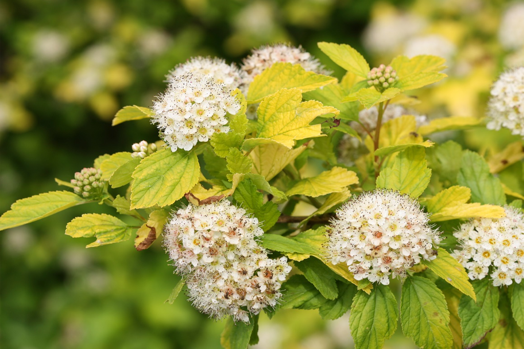 54v2n7yqpf562b7pyguujoqqut43dih6