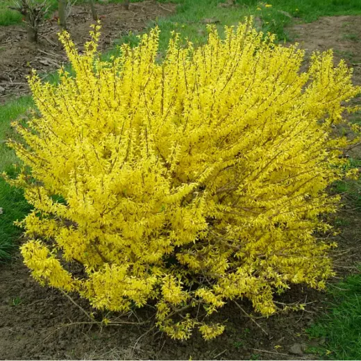 6abf15f0600f7ee709195d3222b40116