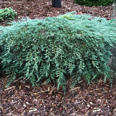 8291789913b7dd97cdda7100e46127b5