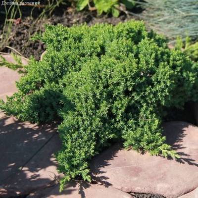 awxdb7ipu9bp7cwf25dvehl8ya92pb52