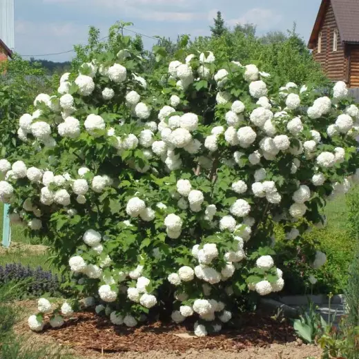 b050958373e8eb258ad4846609a9d61e (1)