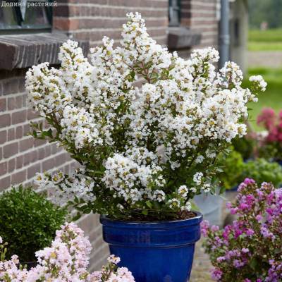 cln13zztggl6kjnpugnz48388eygtxrq