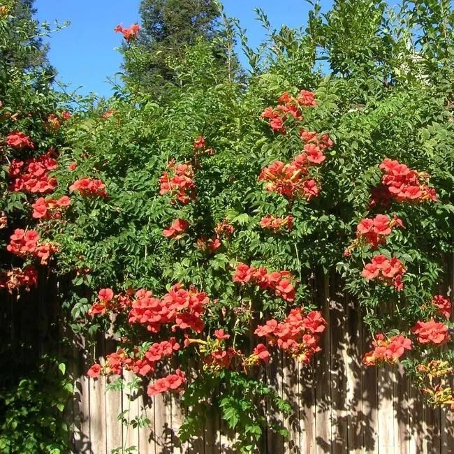 dnuc2983e59dkrcmz2n0cwpoa7ecjqbo