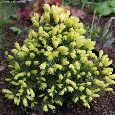 e1vxc3gypnvi23ze8vuurveb0d35xrrc