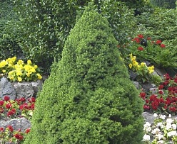 hrsq9tcfbeeri5n46p35u6fxzcrszqs5