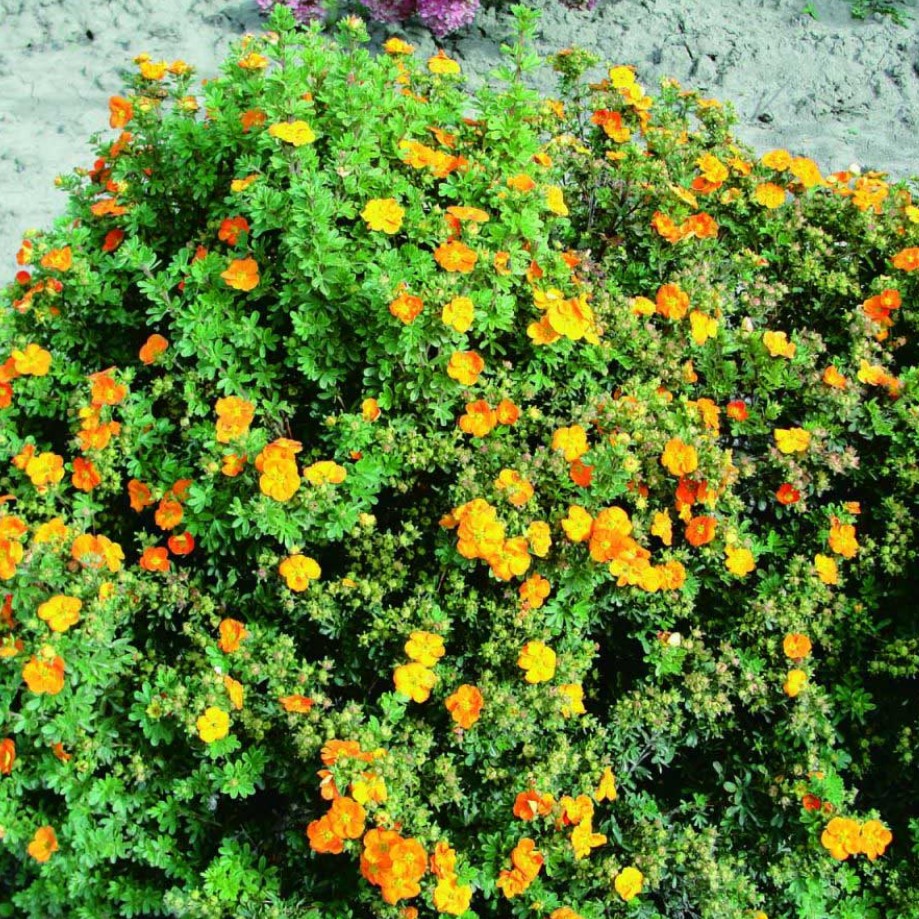 j59ftm3gw9myupfl958451eukcn0pk1o